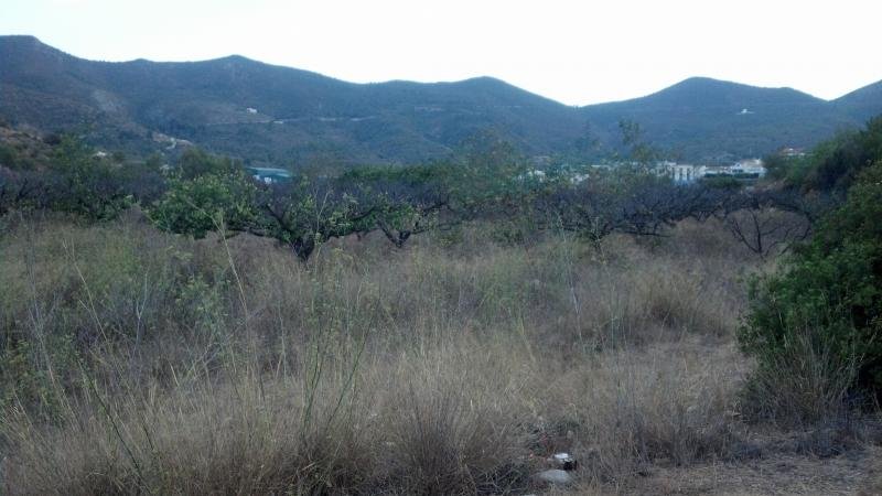 Propiedad 3