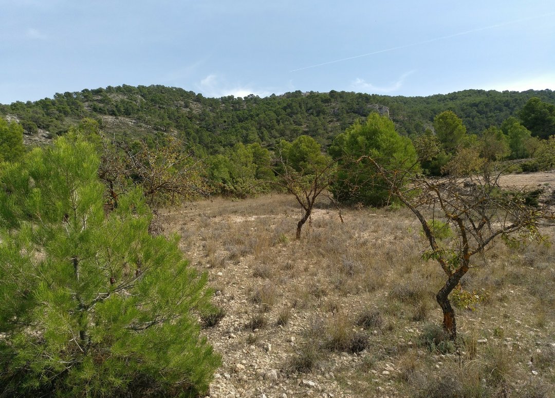 Propiedad 3