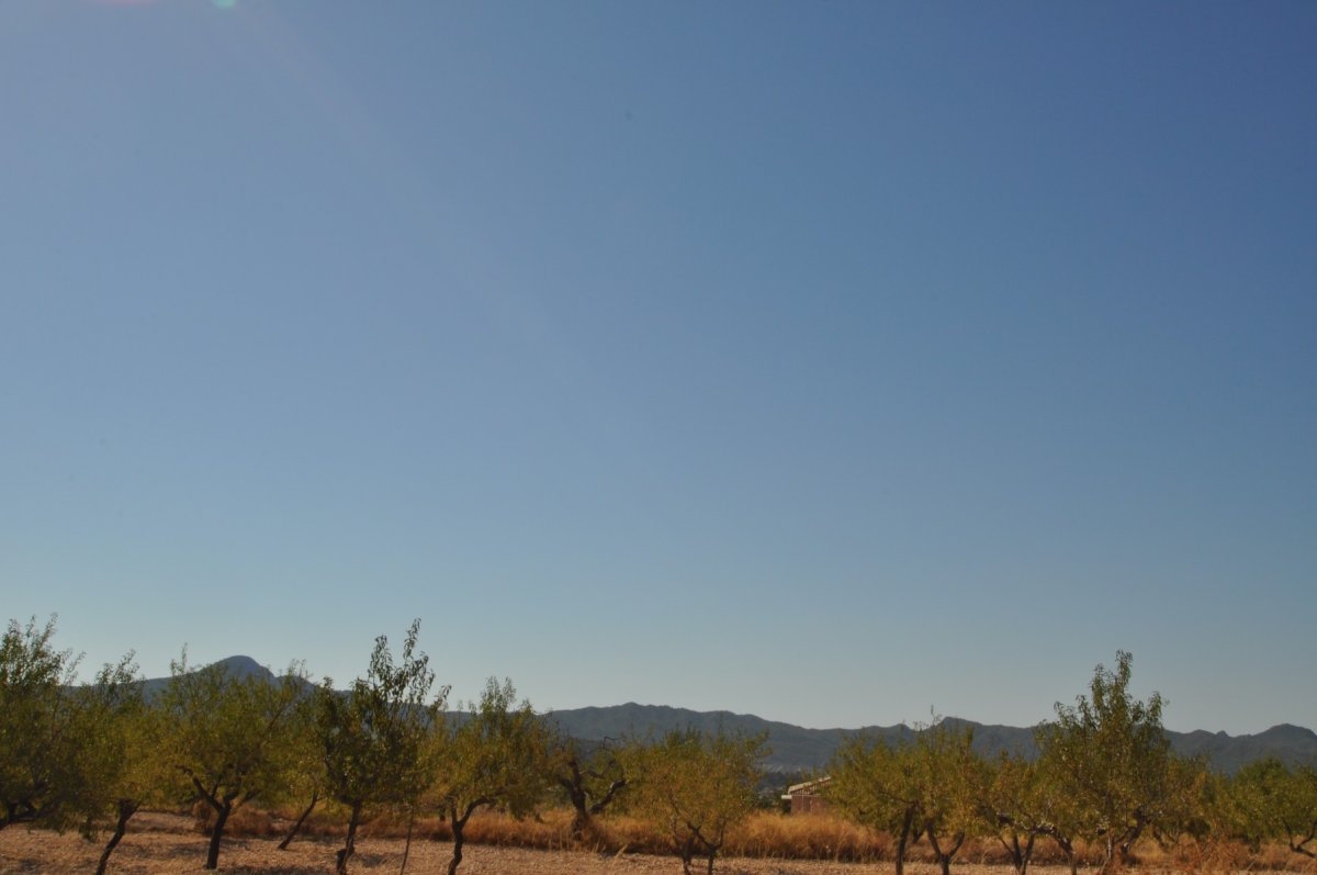 Propiedad 5
