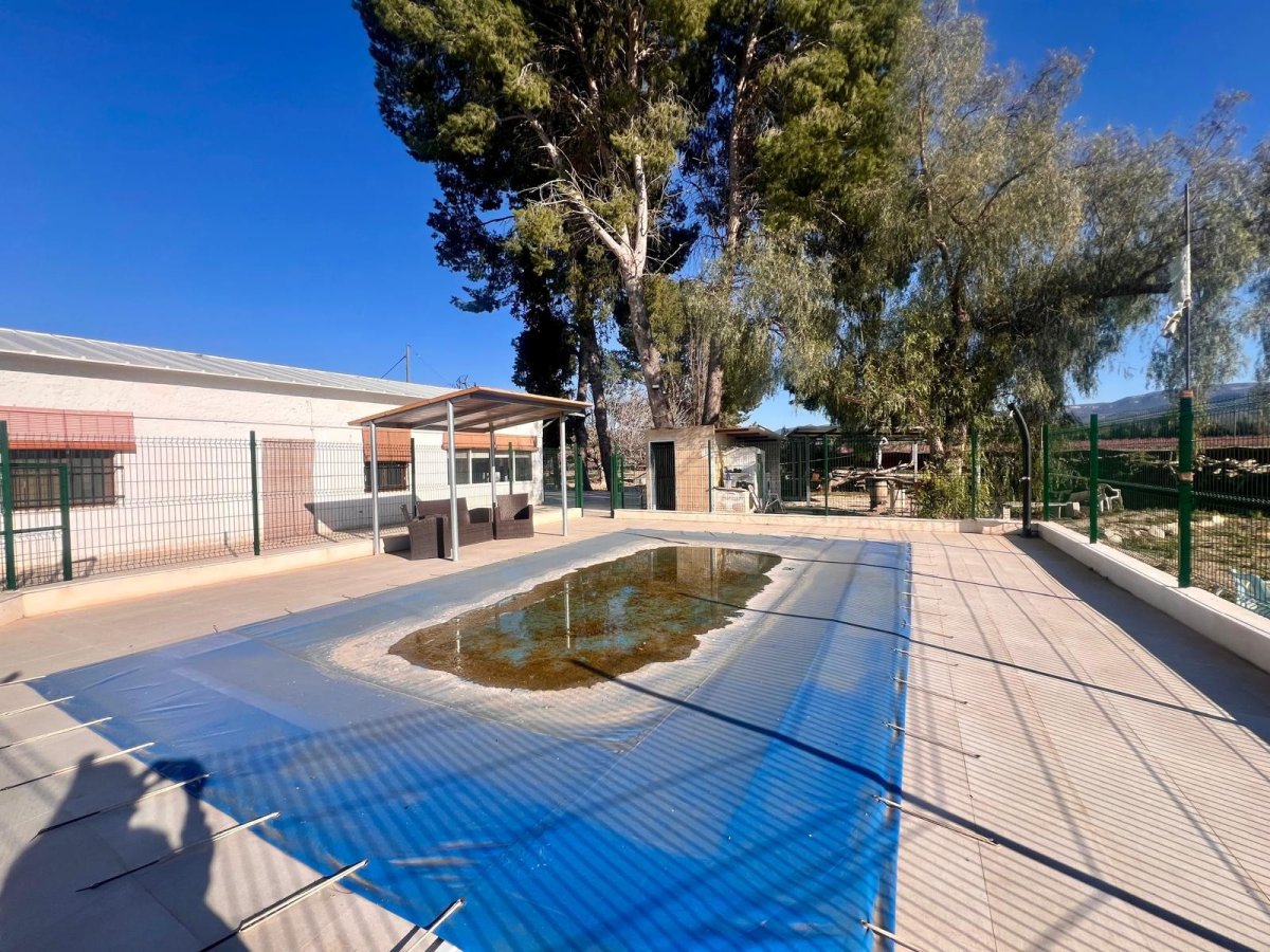 Property 22