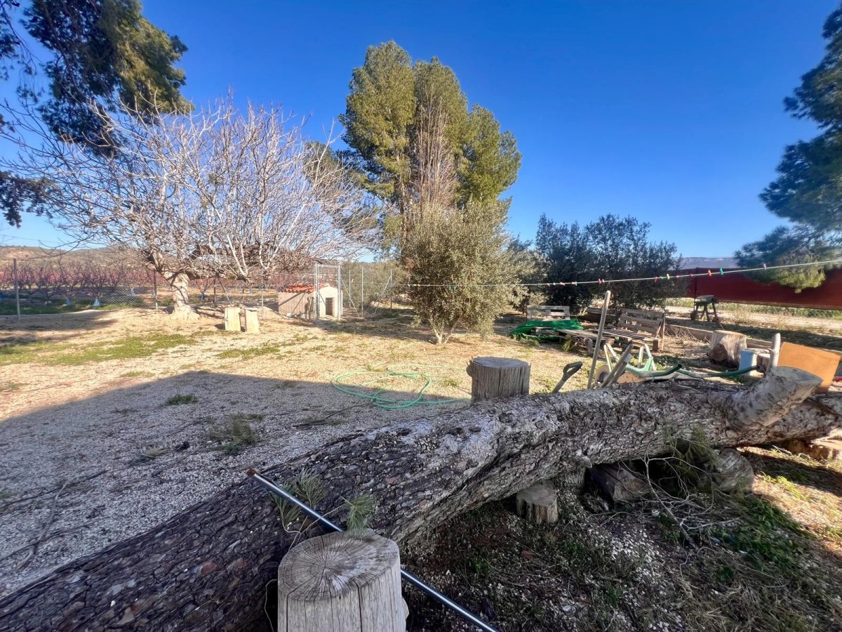 Property 28