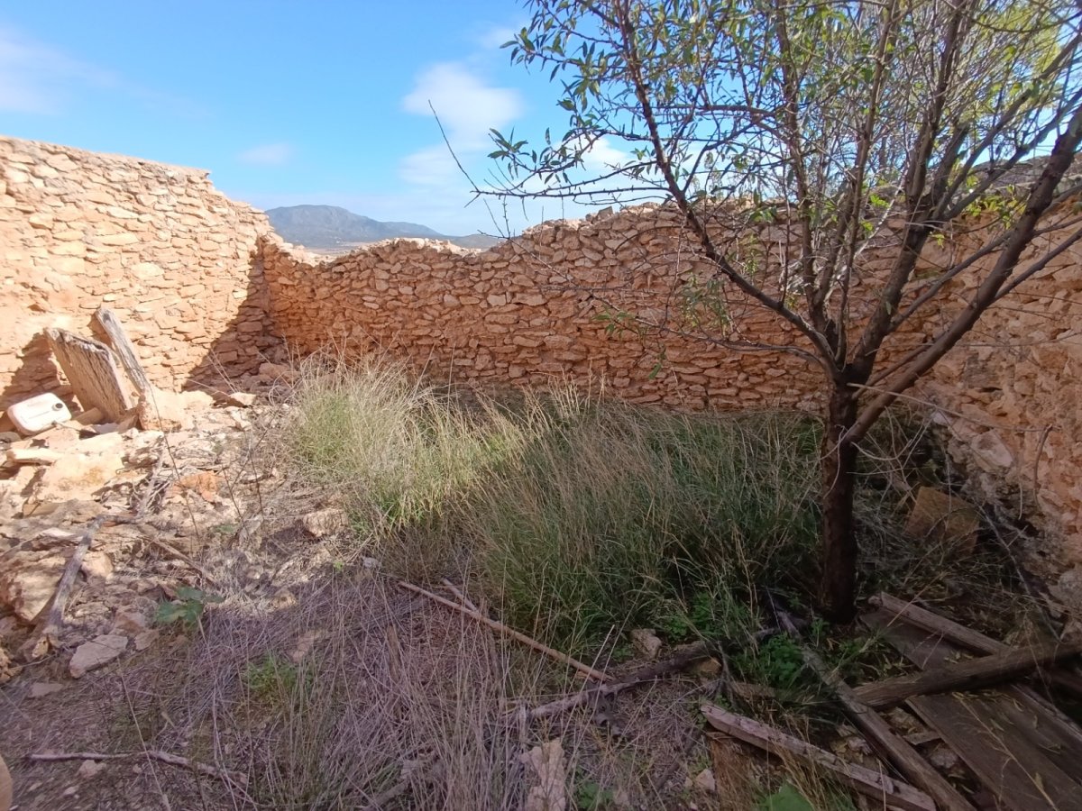 Propiedad 19