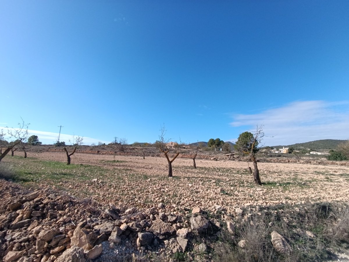 Propiedad 4