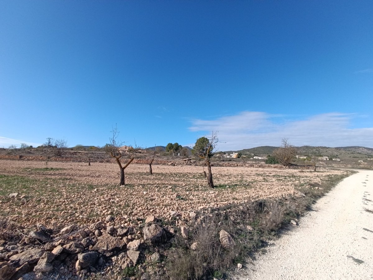 Propiedad 5