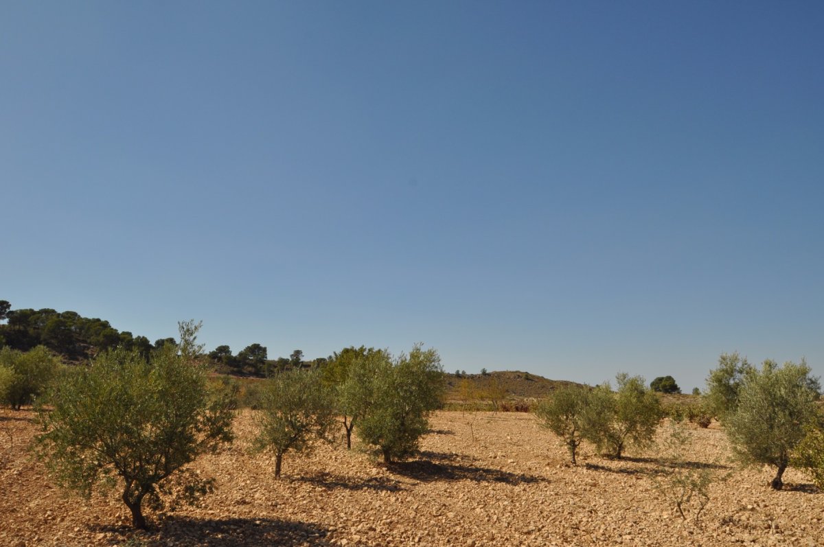 Propiedad 8