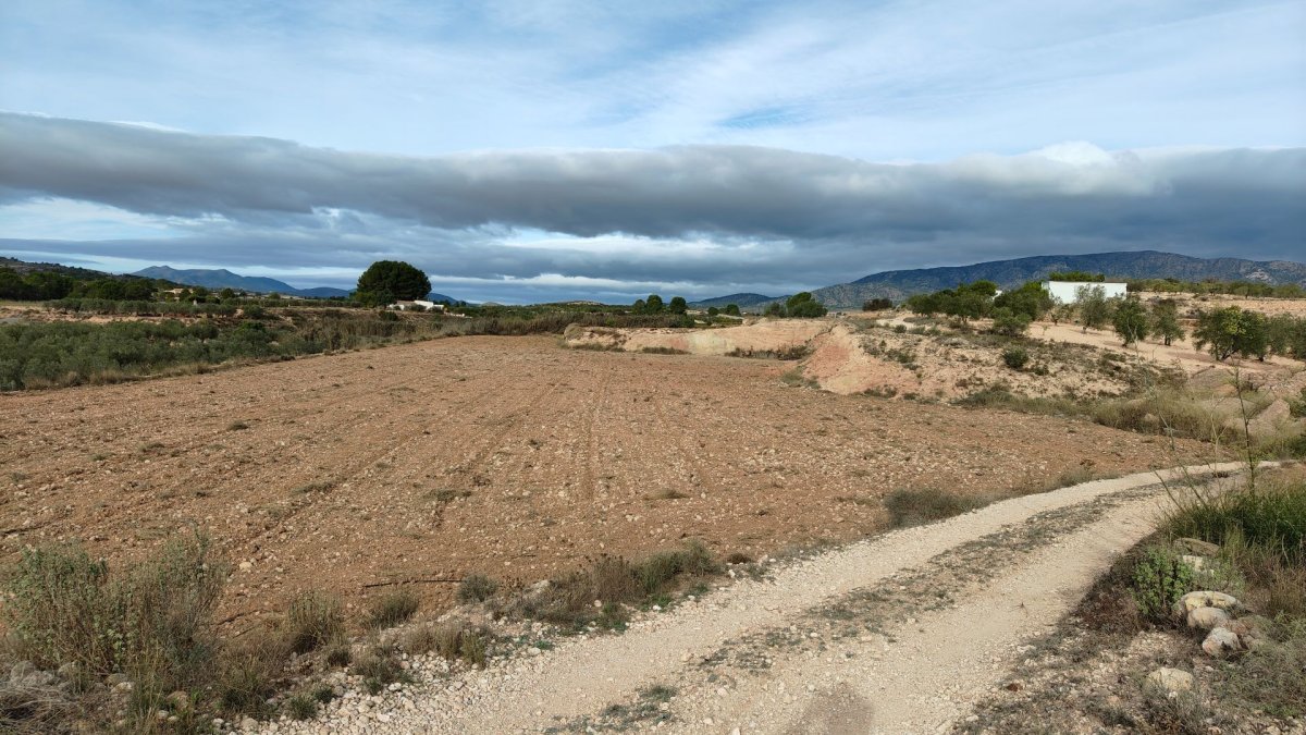 Propiedad 5