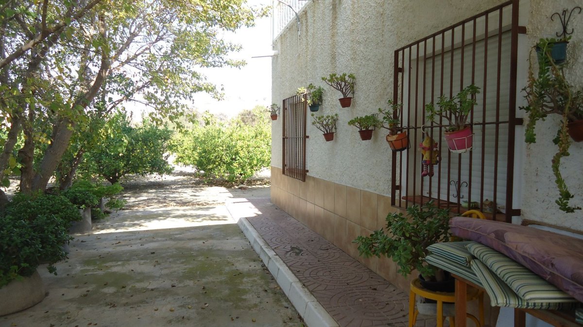 Propiedad 25