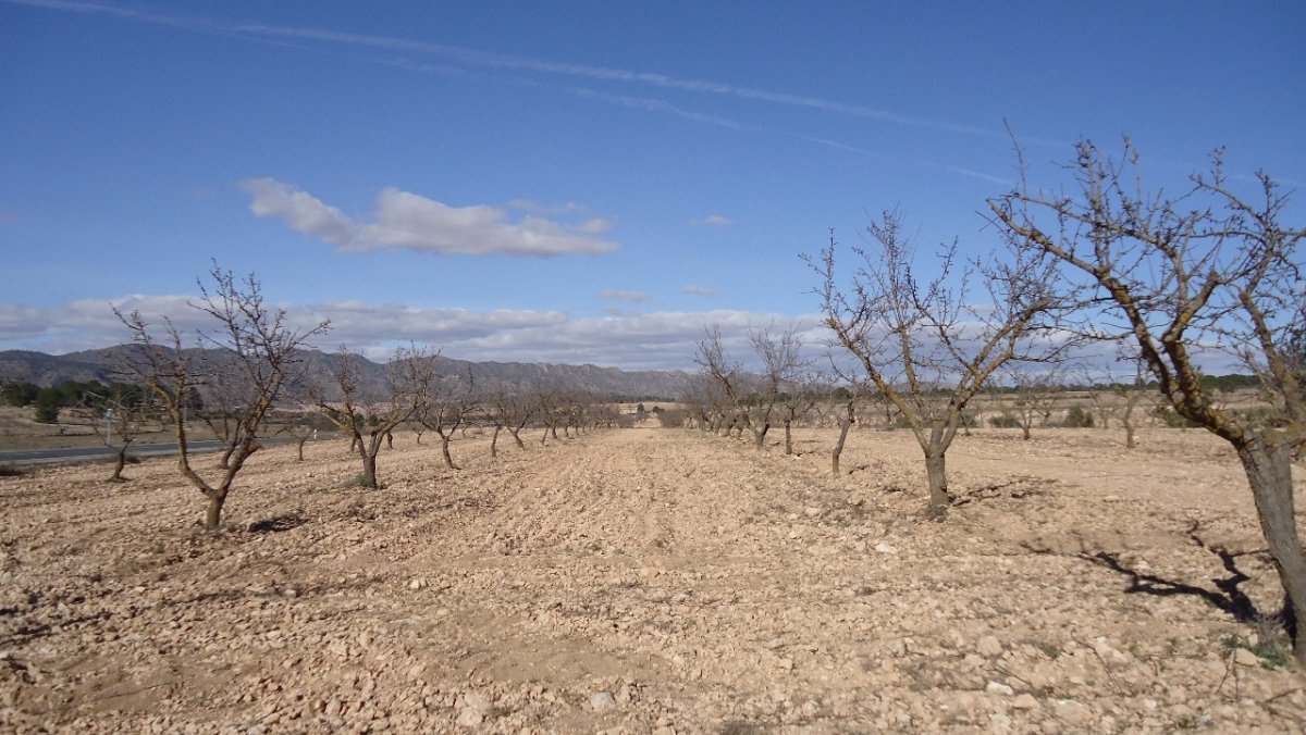Propiedad 18
