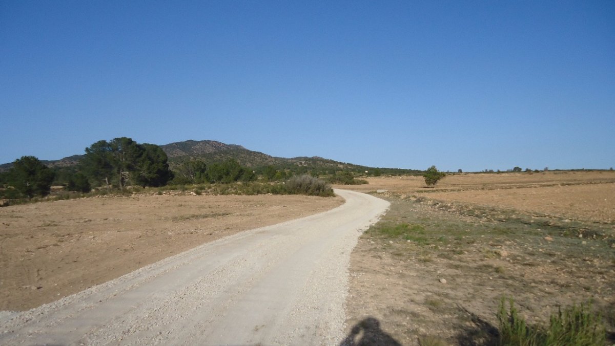 Propiedad 40
