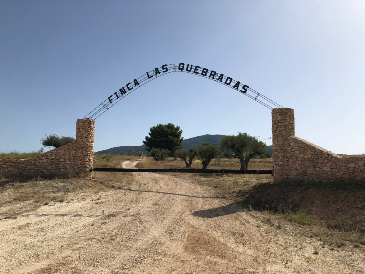 Propiedad 45