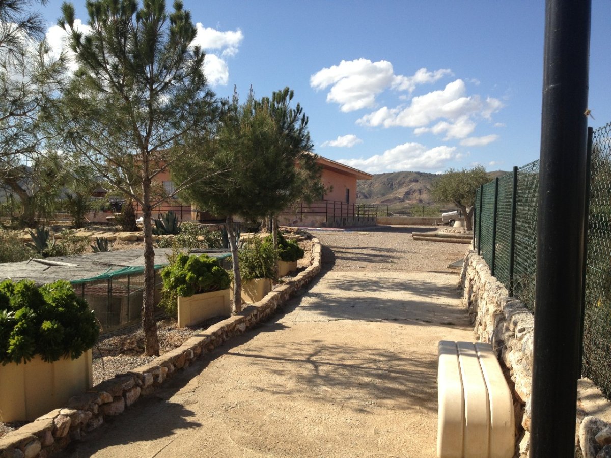 Propiedad 29