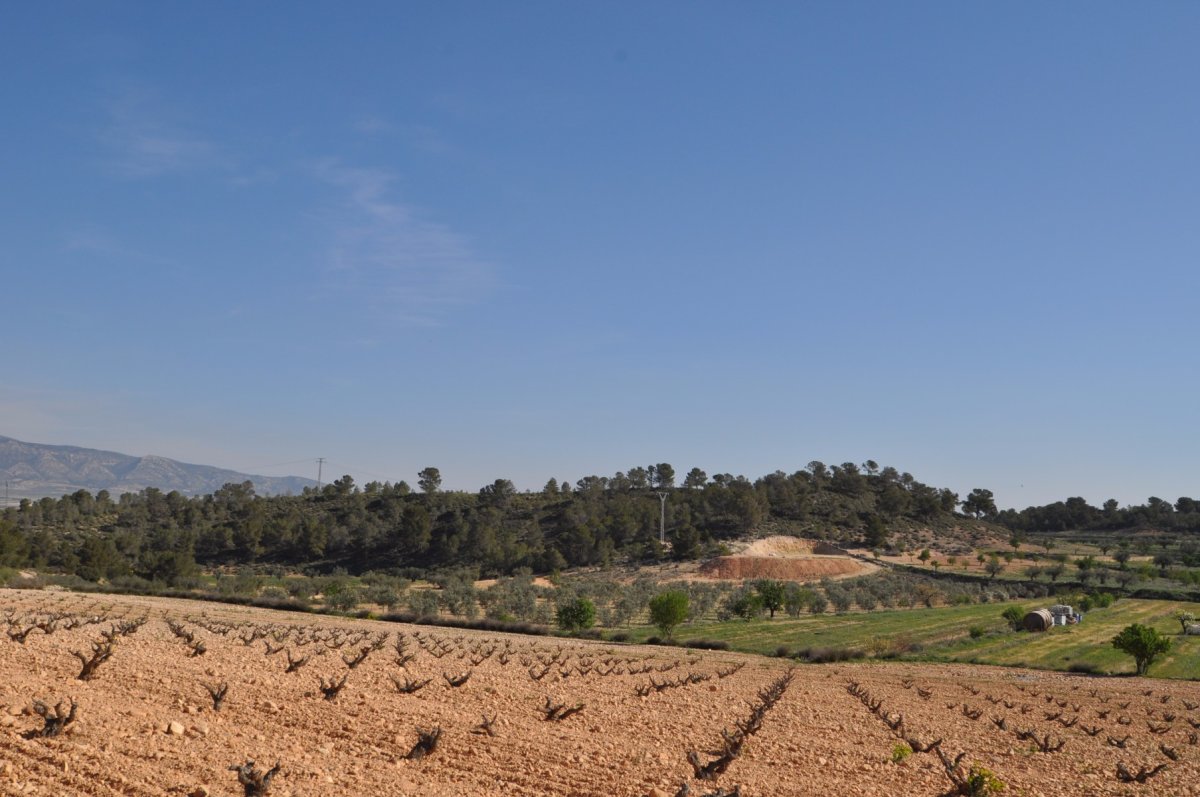 Propiedad 1