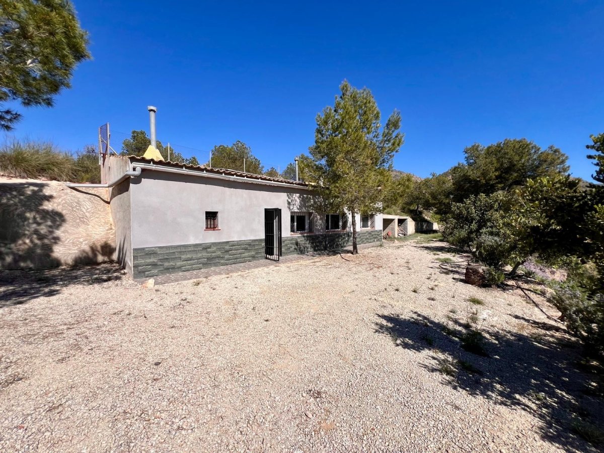 Property 20
