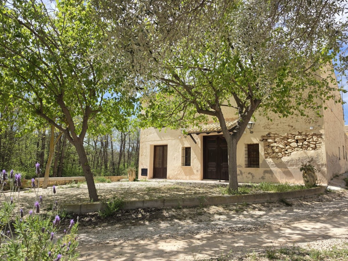 Property 37