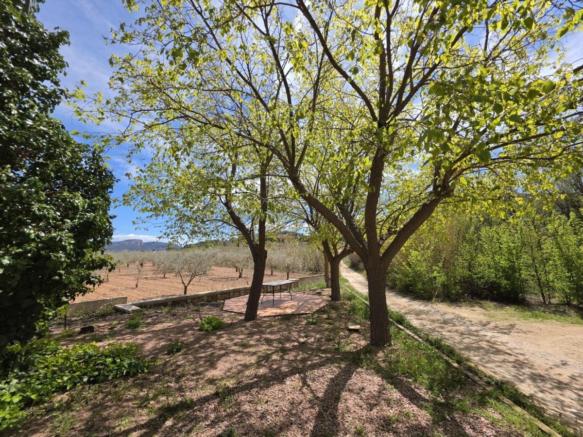 Property 38